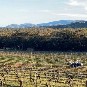 Meet your Posher, Prue